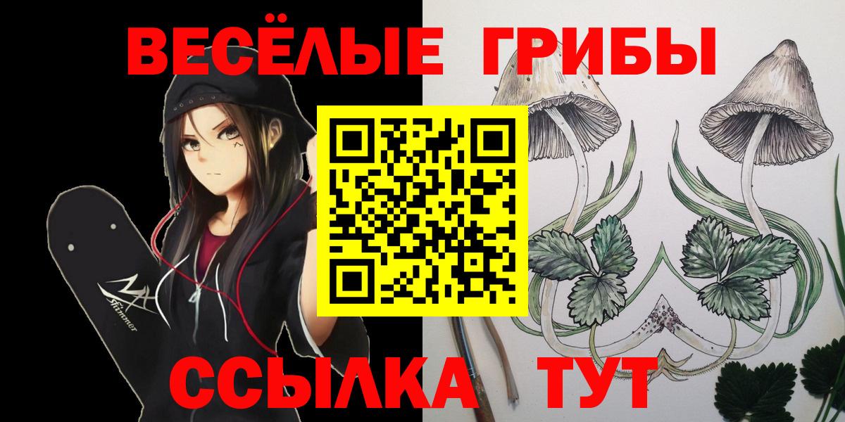 Псилоцибиновые грибы мухоморы  Вход с VPN  Узловая 